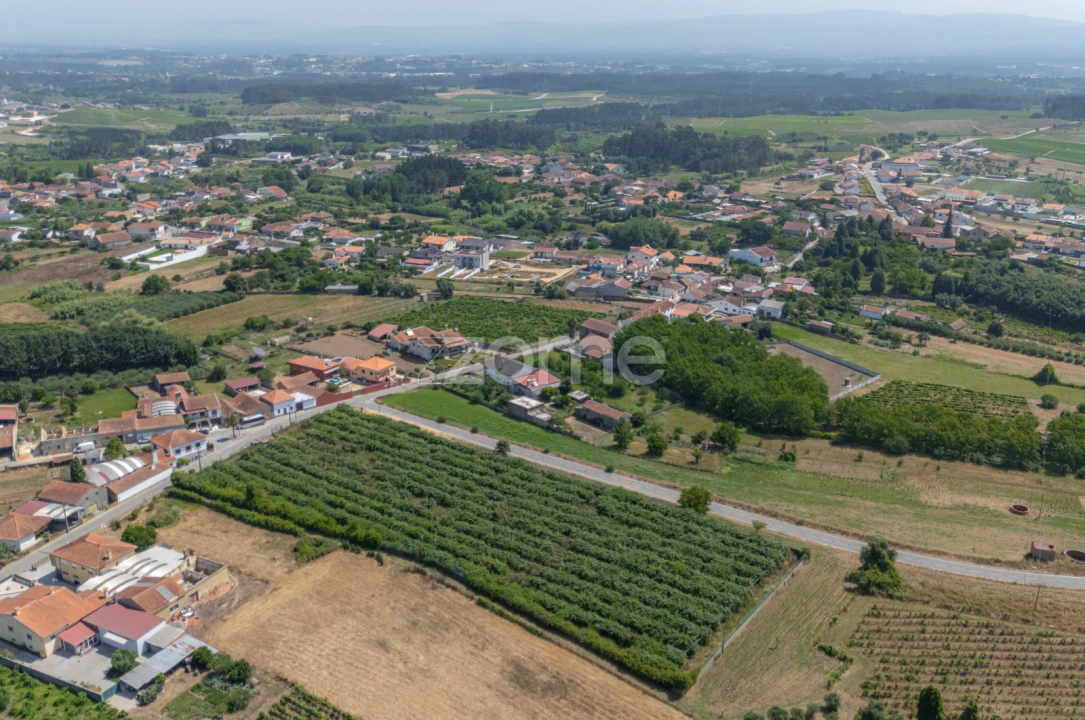 Terreno para Venda em Amoreira da Gândara, Paredes do Bairro e Ancas Foto 4