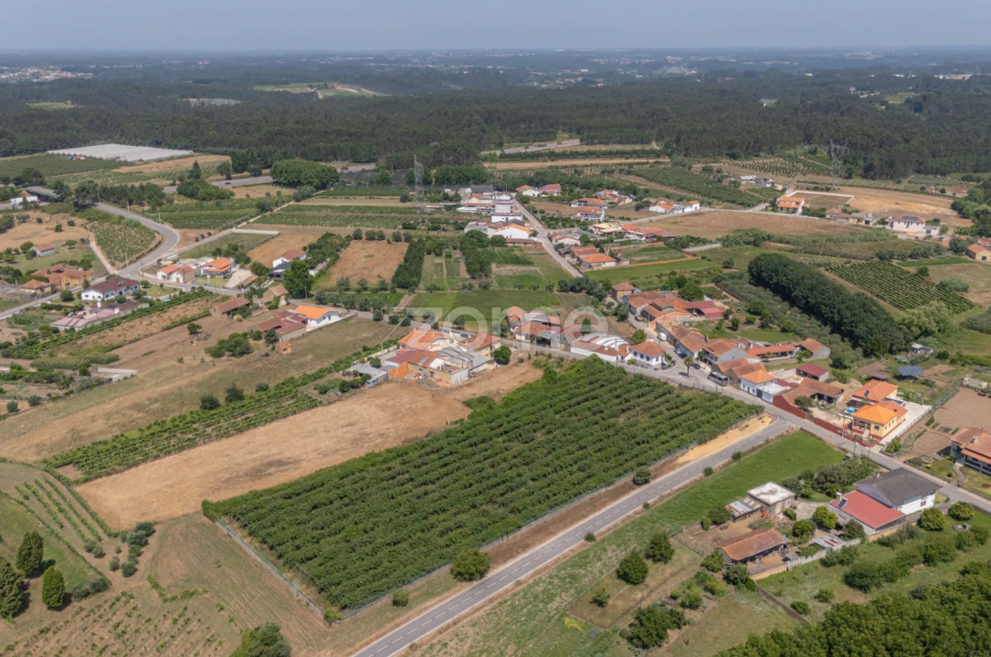 Terreno para Venda em Amoreira da Gândara, Paredes do Bairro e Ancas Foto 10