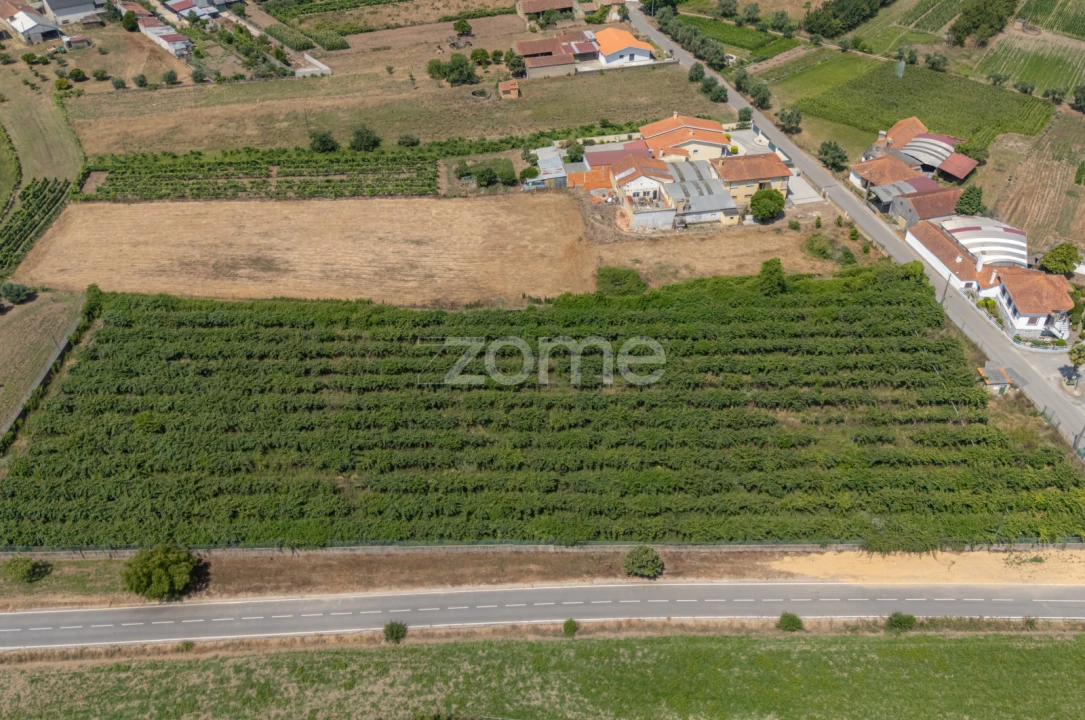 Terreno para Venda em Amoreira da Gândara, Paredes do Bairro e Ancas Foto 7