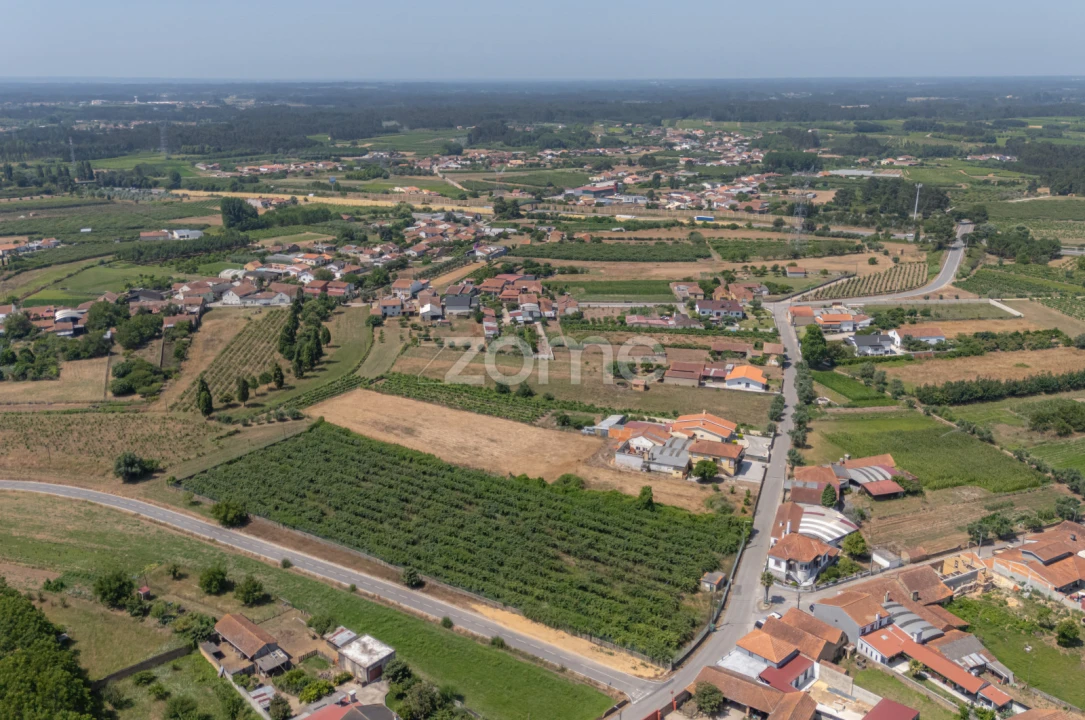 Terreno para Venda em Amoreira da Gândara, Paredes do Bairro e Ancas Foto 11