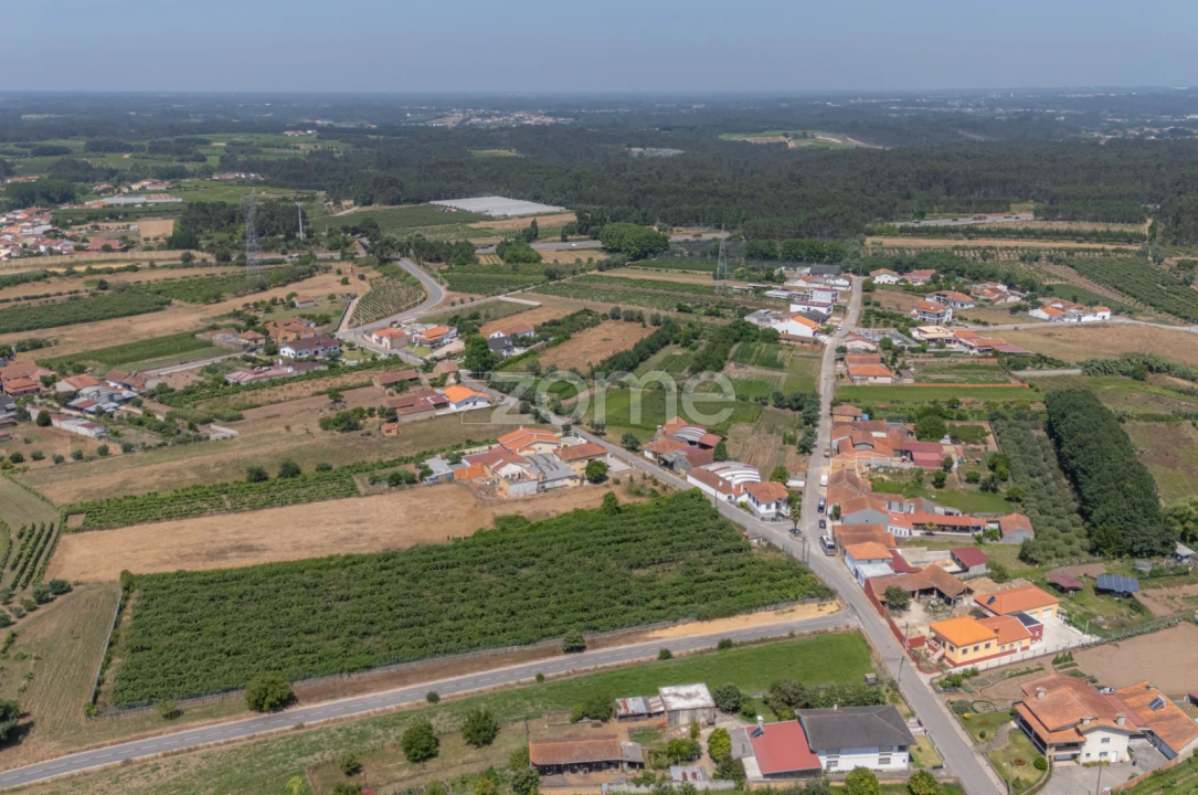 Terreno para Venda em Amoreira da Gândara, Paredes do Bairro e Ancas Foto 13