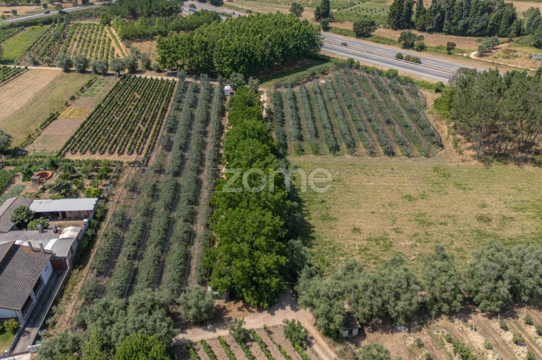 Terreno para Venda em Amoreira da Gândara, Paredes do Bairro e Ancas Foto 18
