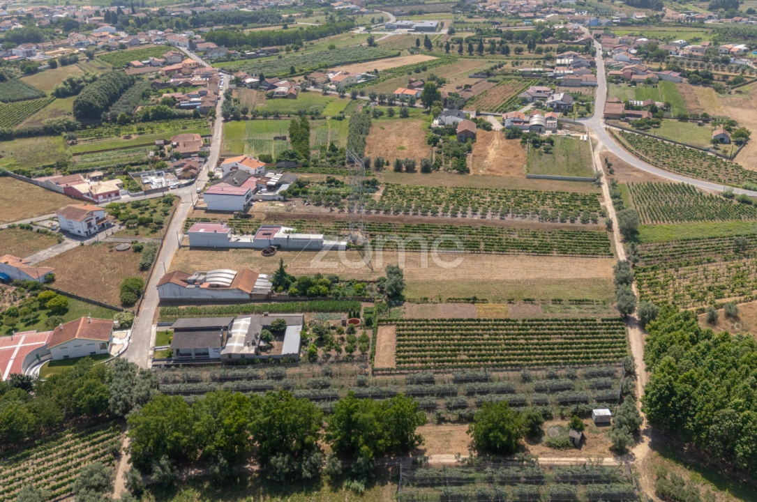 Terreno para Venda em Amoreira da Gândara, Paredes do Bairro e Ancas Foto 20