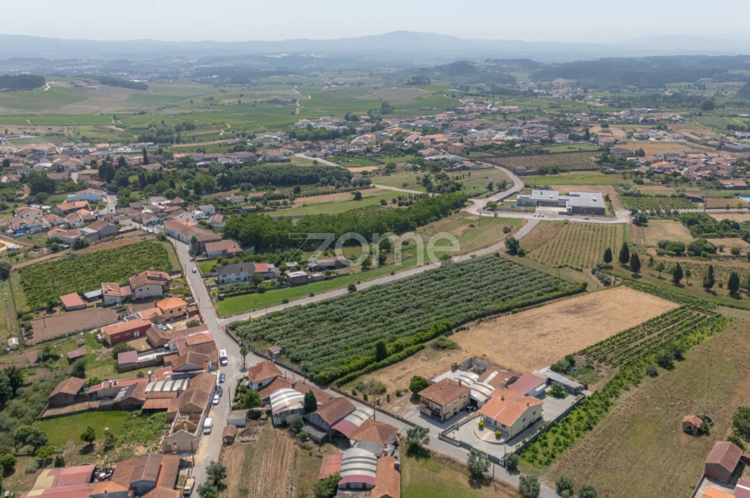 Terreno para Venda em Amoreira da Gândara, Paredes do Bairro e Ancas Foto 14