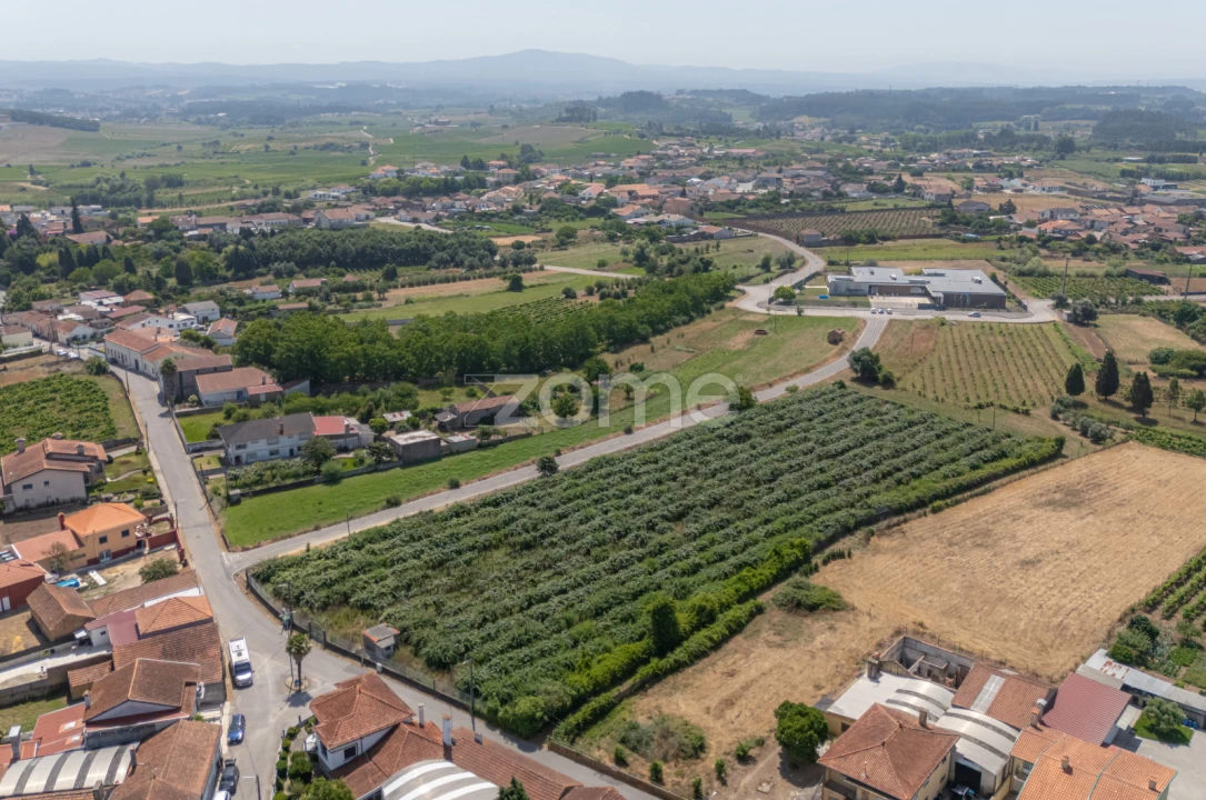 Terreno para Venda em Amoreira da Gândara, Paredes do Bairro e Ancas Foto 15