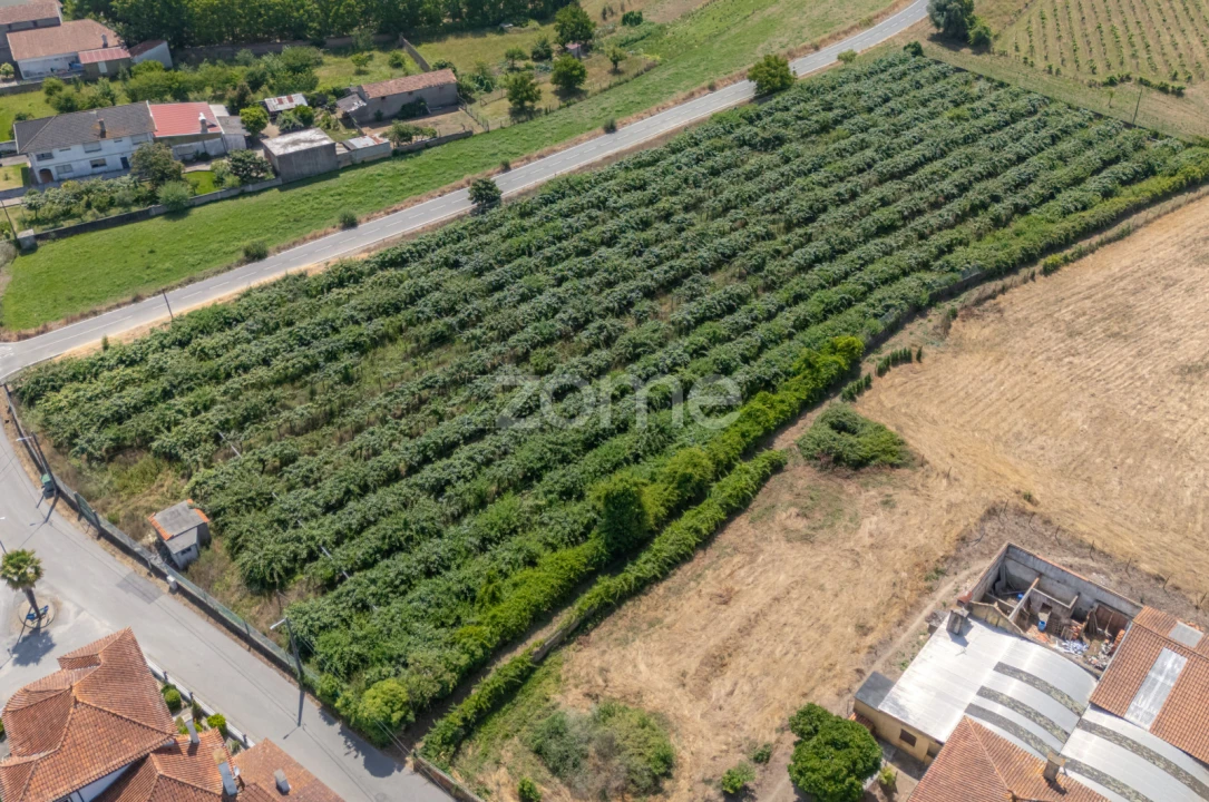 Terreno para Venda em Amoreira da Gândara, Paredes do Bairro e Ancas Foto 6