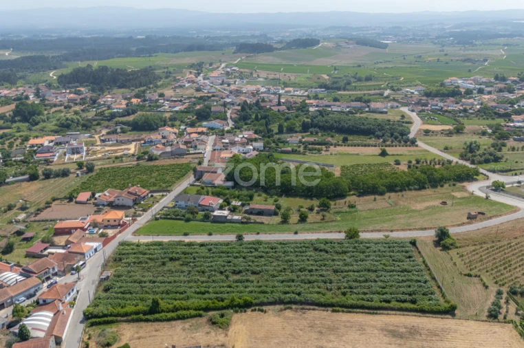 Terreno para Venda em Amoreira da Gândara, Paredes do Bairro e Ancas Foto 2