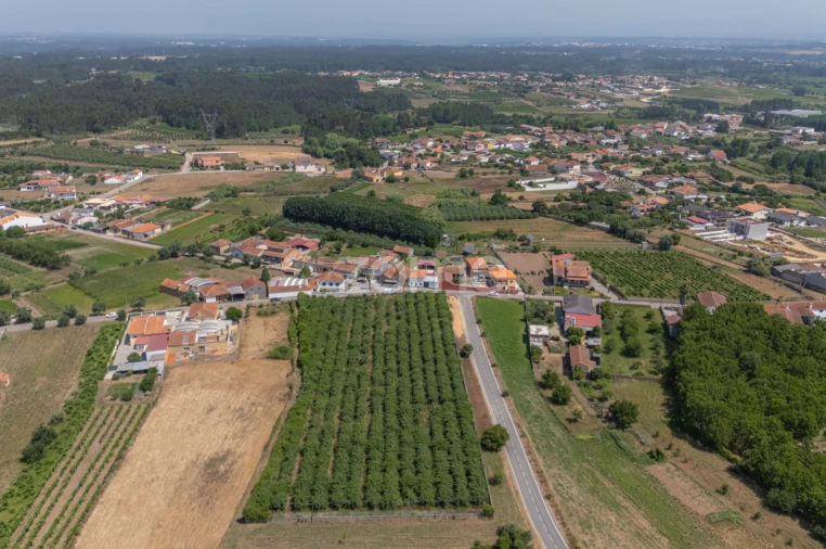 Terreno para Venda em Amoreira da Gândara, Paredes do Bairro e Ancas Foto 5