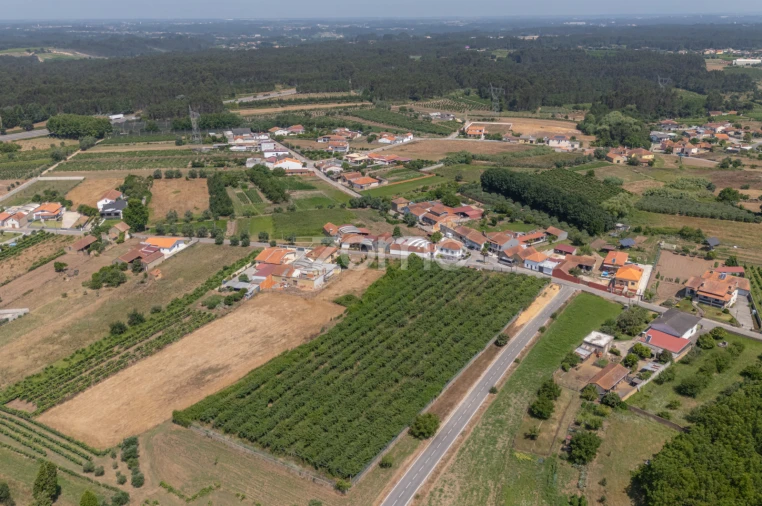 Terreno para Venda em Amoreira da Gândara, Paredes do Bairro e Ancas Foto 9