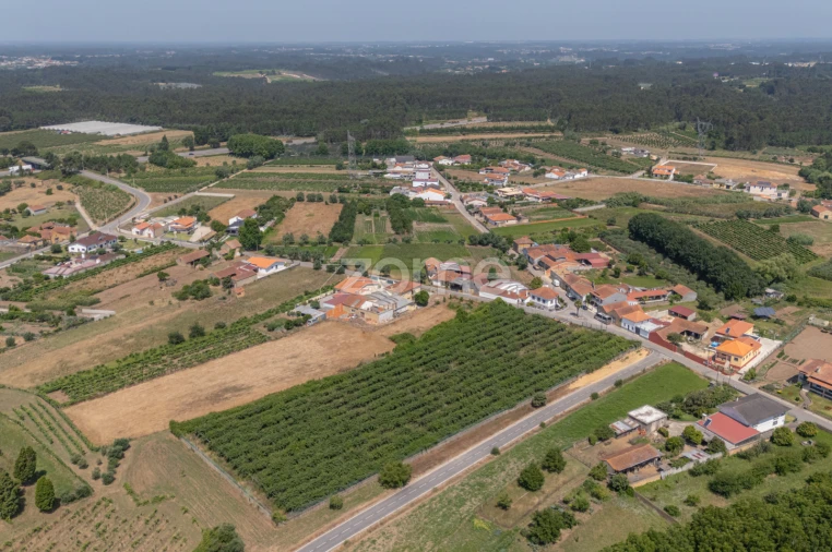 Terreno para Venda em Amoreira da Gândara, Paredes do Bairro e Ancas Foto 10