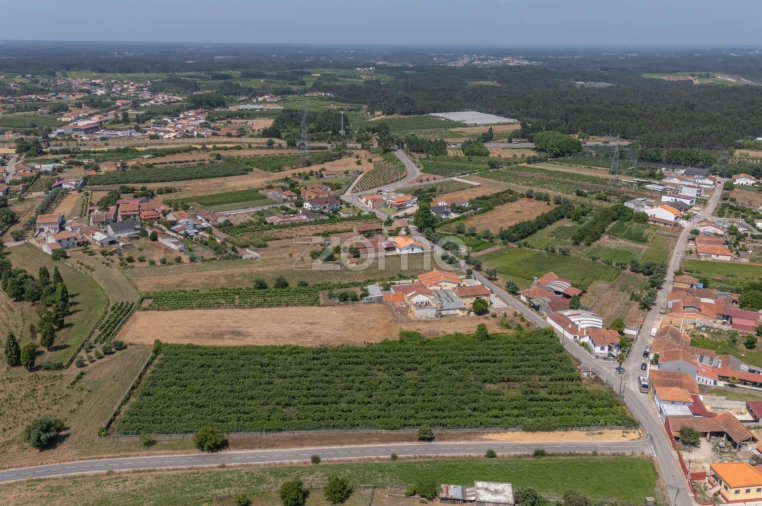Terreno para Venda em Amoreira da Gândara, Paredes do Bairro e Ancas Foto 12