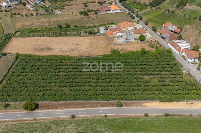 Terreno para Venda em Amoreira da Gândara, Paredes do Bairro e Ancas Foto 7