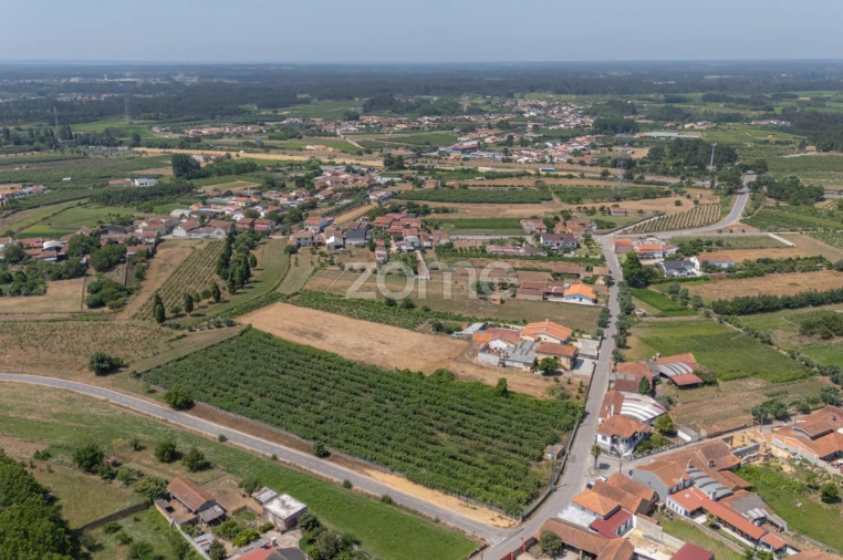 Terreno para Venda em Amoreira da Gândara, Paredes do Bairro e Ancas Foto 11