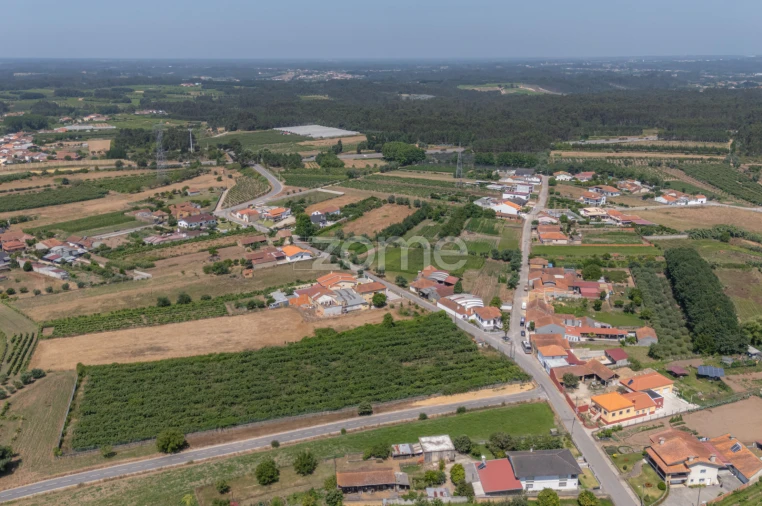 Terreno para Venda em Amoreira da Gândara, Paredes do Bairro e Ancas Foto 13