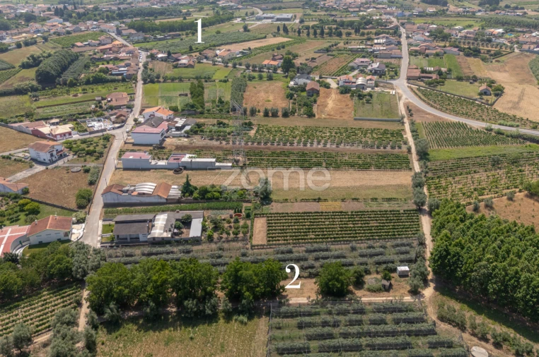 Terreno para Venda em Amoreira da Gândara, Paredes do Bairro e Ancas Foto 22
