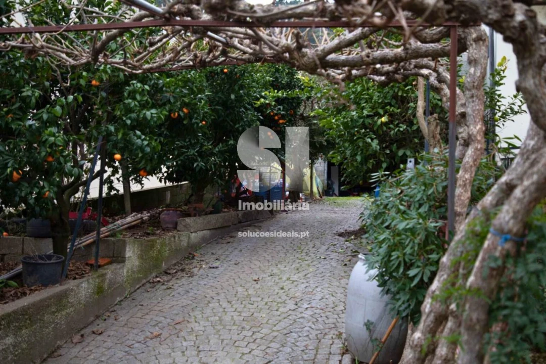 Negócio para Venda em Torgueda Foto 19