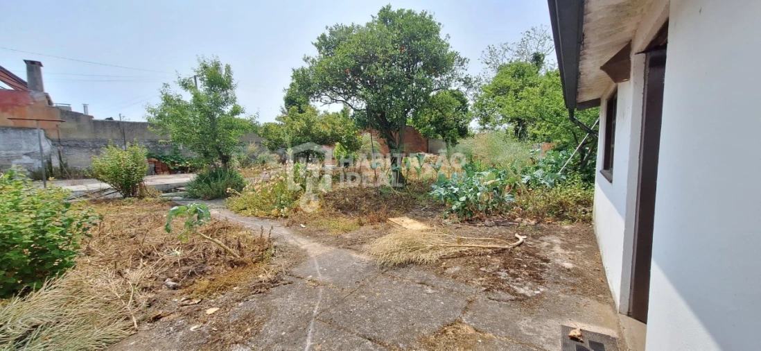 Moradia T3 para Venda em Soza Foto 9