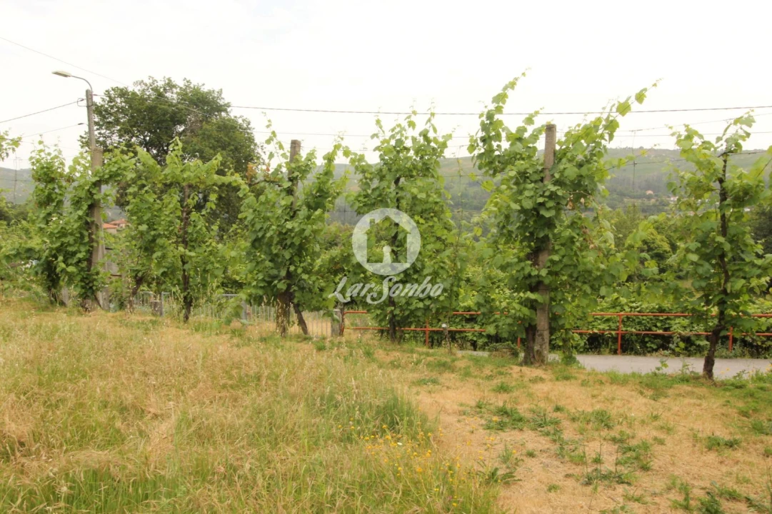 Terreno para Venda em Moreira do Rei e Várzea Cova Foto 7