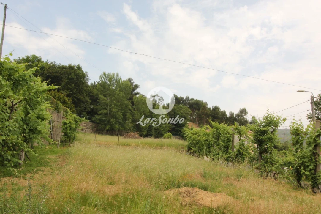 Terreno para Venda em Moreira do Rei e Várzea Cova Foto 8