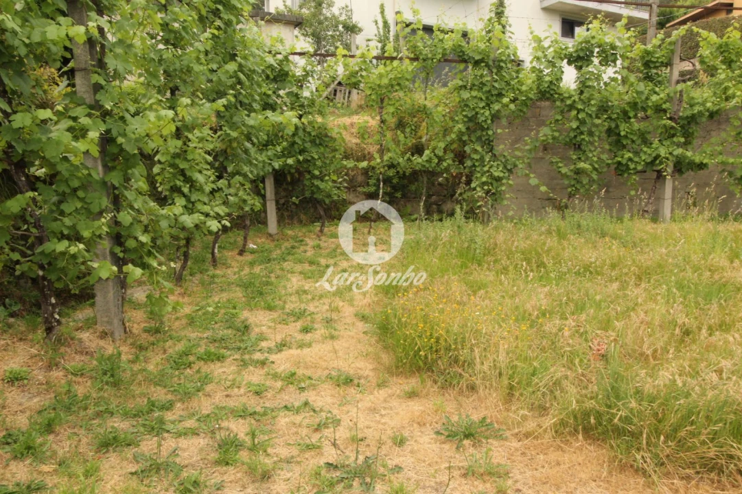 Terreno para Venda em Moreira do Rei e Várzea Cova Foto 10