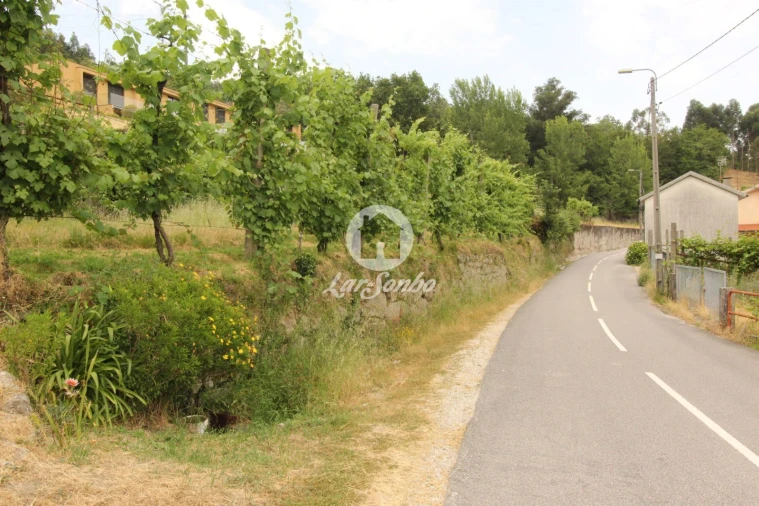 Terreno para Venda em Moreira do Rei e Várzea Cova Foto 2