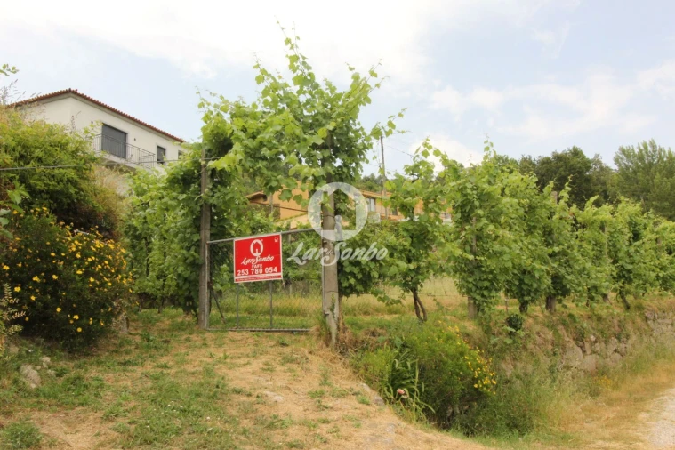 Terreno para Venda em Moreira do Rei e Várzea Cova Foto 15
