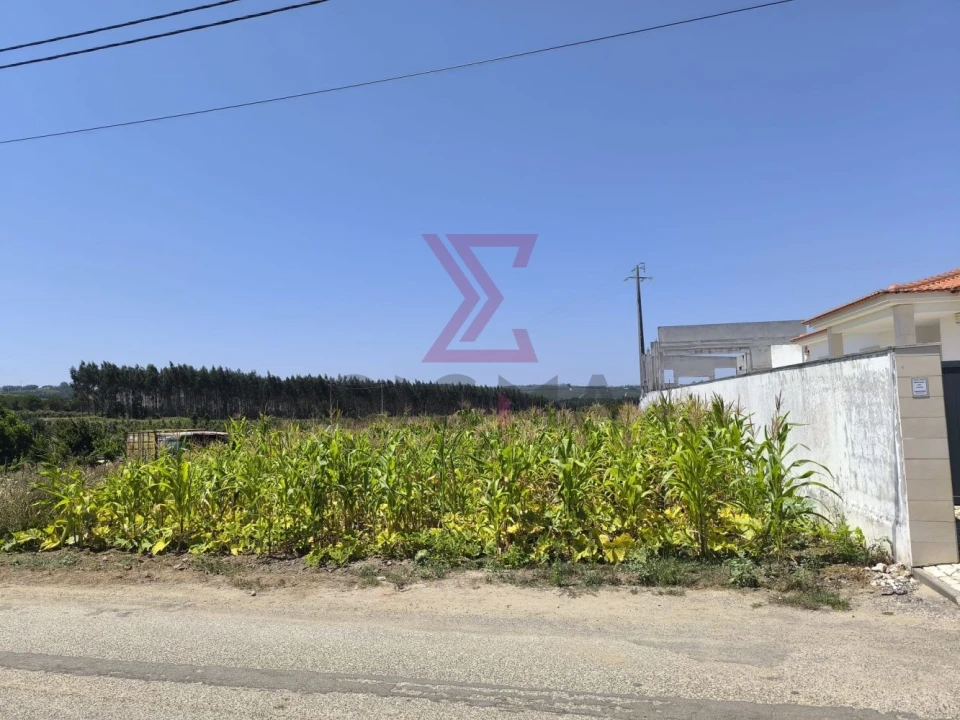 Terreno para Venda em Bombarral e Vale Covo Foto 6