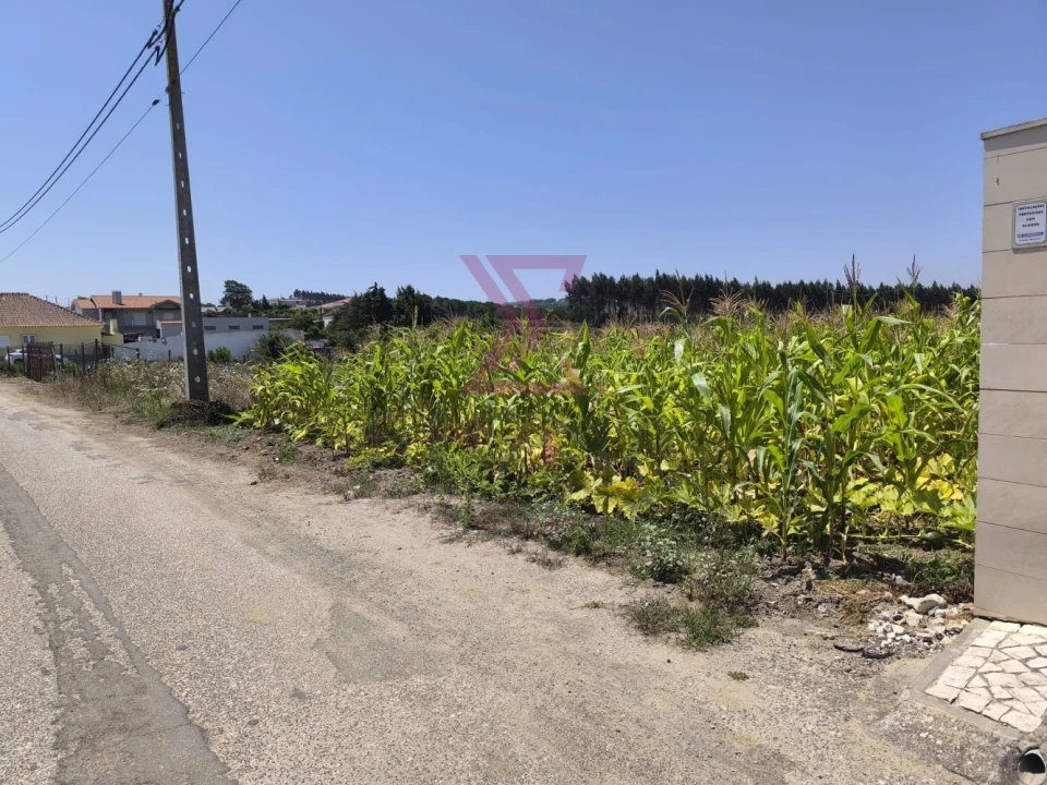 Terreno para Venda em Bombarral e Vale Covo Foto 3
