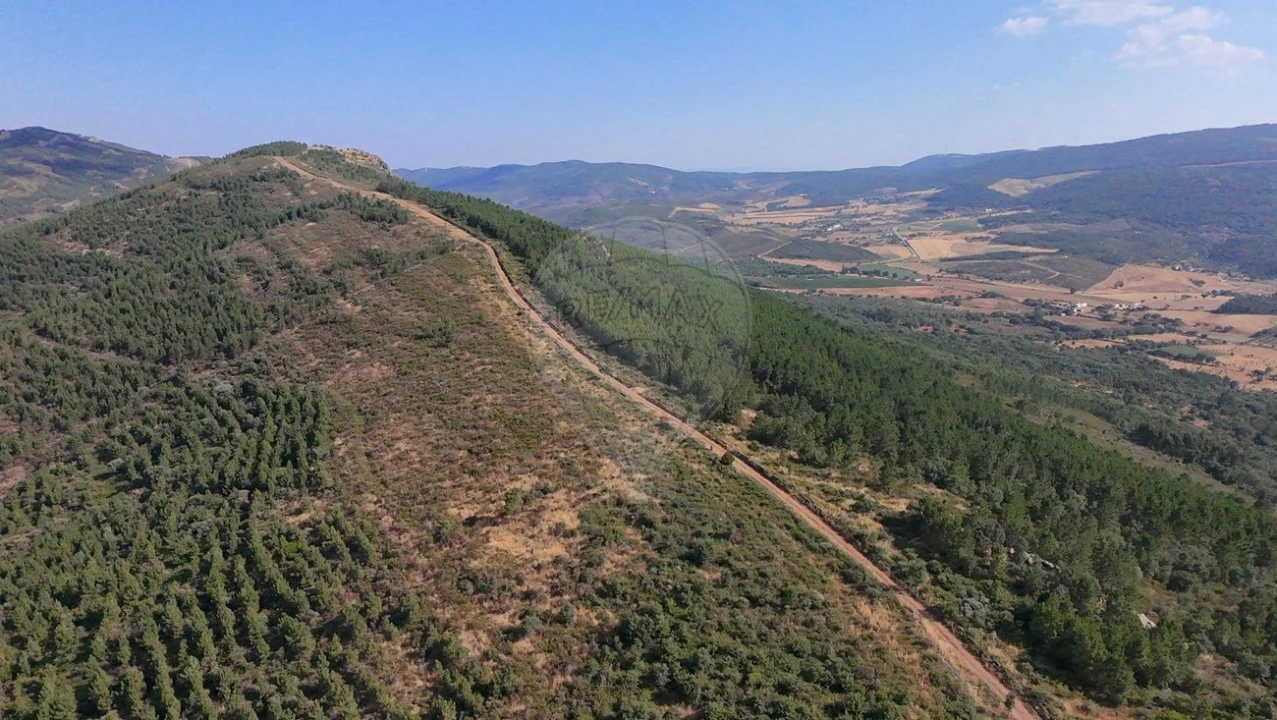 Terreno para Venda em Santa Maria de Marvão Foto 18