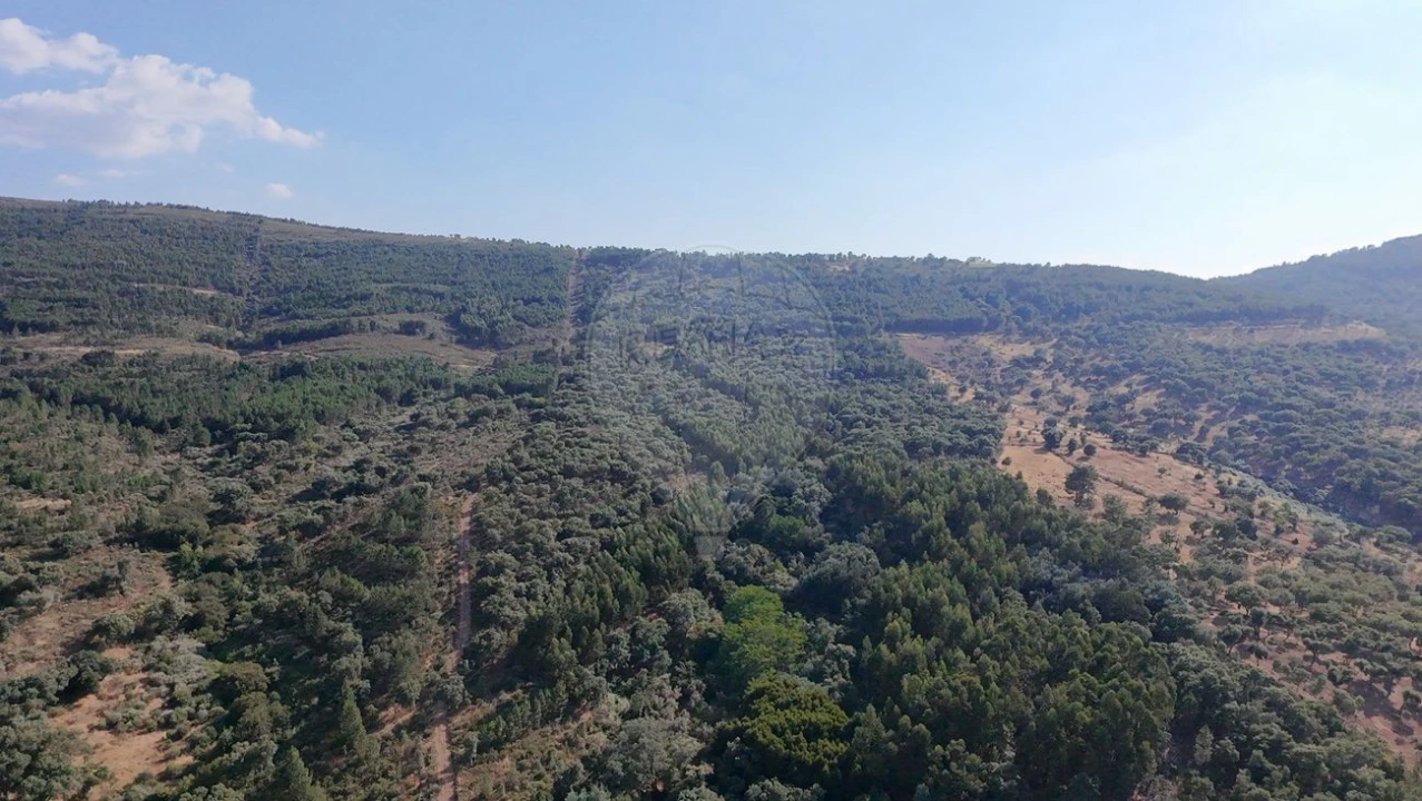 Terreno para Venda em Santa Maria de Marvão Foto 27
