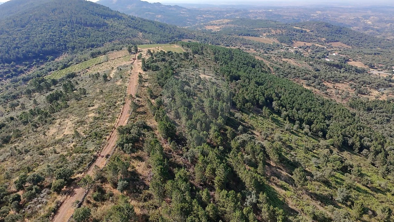 Terreno para Venda em Santa Maria de Marvão Foto 8