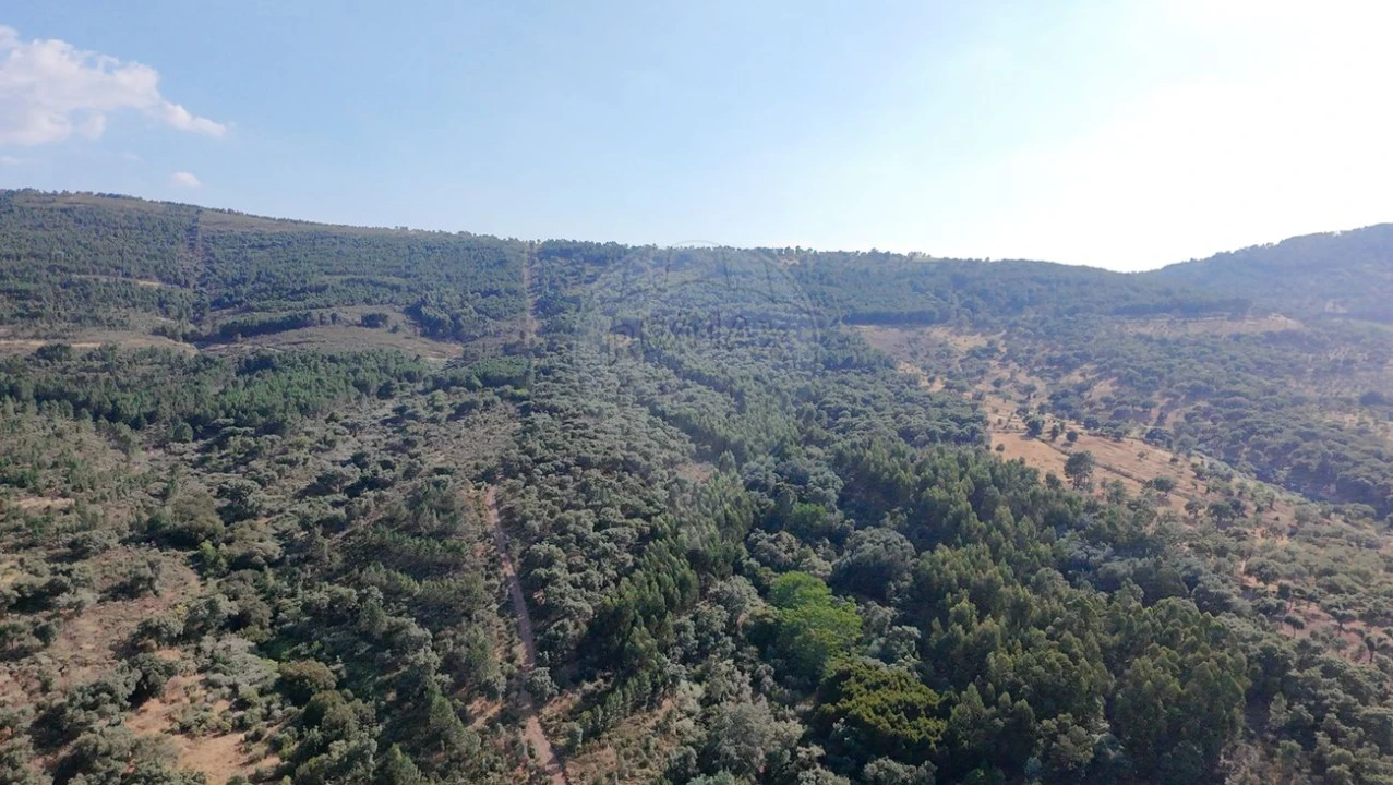 Terreno para Venda em Santa Maria de Marvão Foto 28