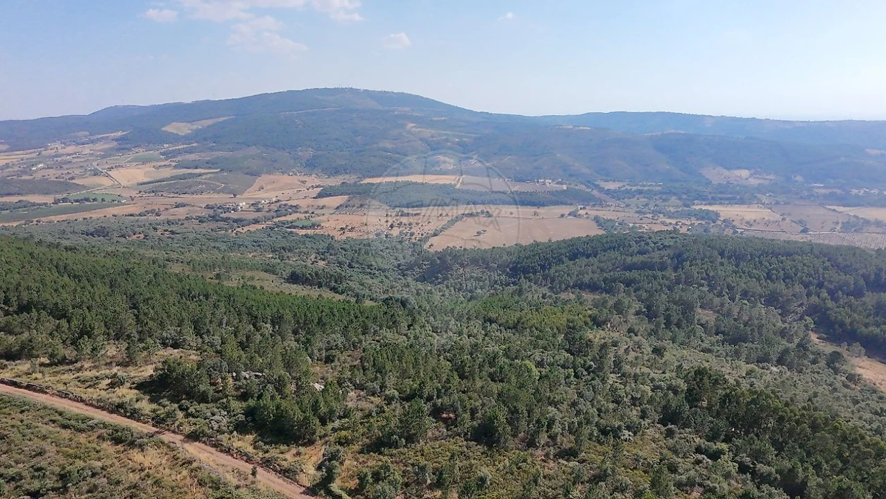 Terreno para Venda em Santa Maria de Marvão Foto 17