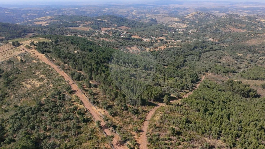 Terreno para Venda em Santa Maria de Marvão Foto 6