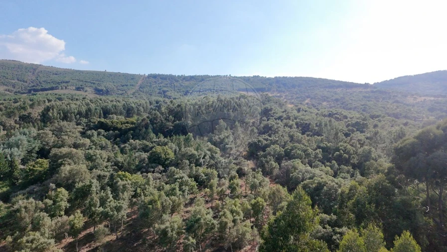 Terreno para Venda em Santa Maria de Marvão Foto 19