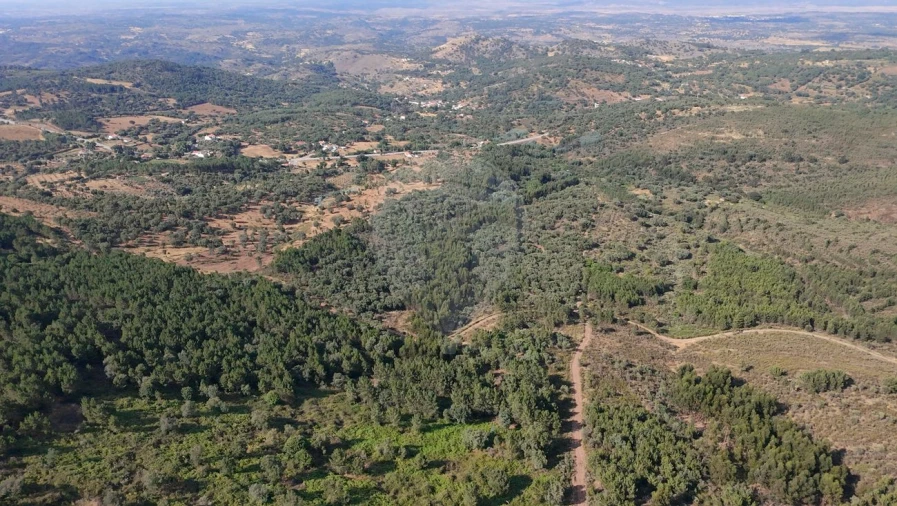 Terreno para Venda em Santa Maria de Marvão Foto 13