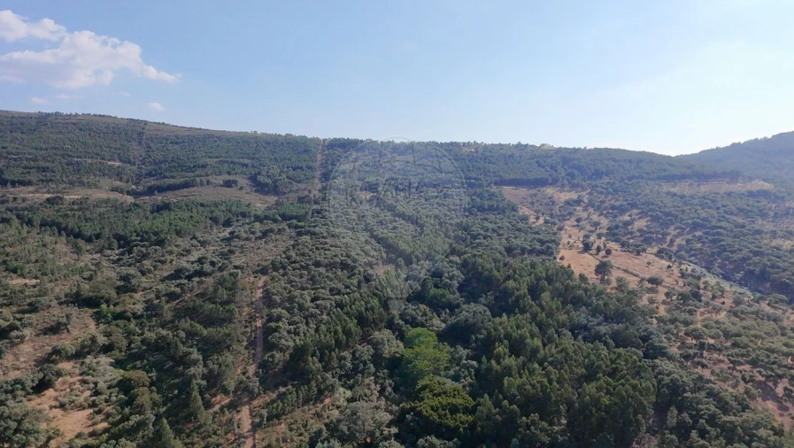 Terreno para Venda em Santa Maria de Marvão Foto 27