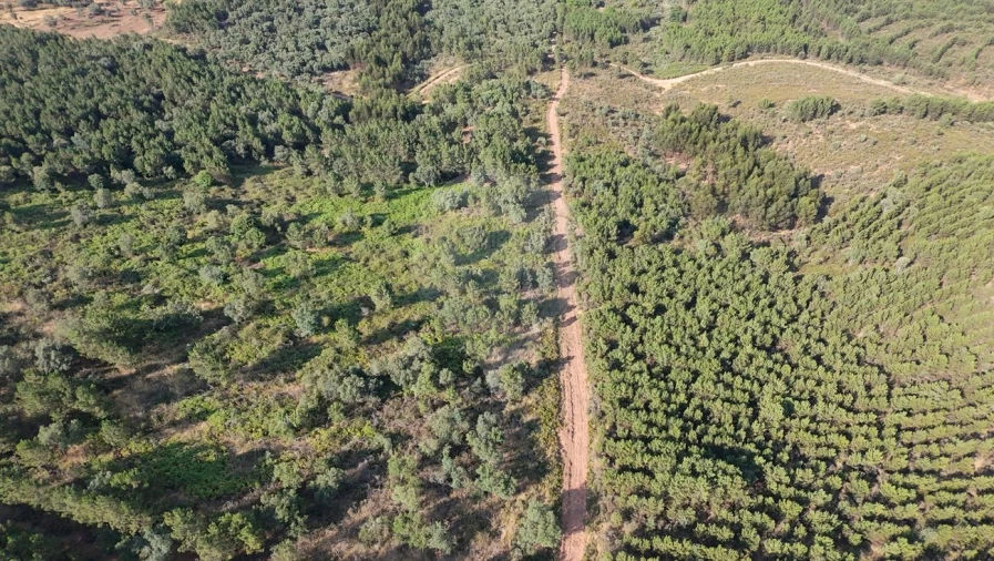 Terreno para Venda em Santa Maria de Marvão Foto 14