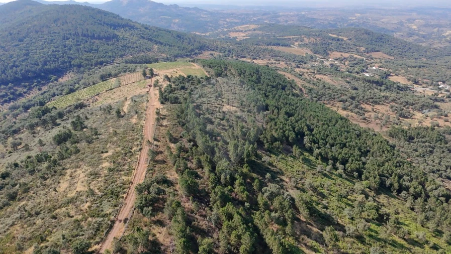 Terreno para Venda em Santa Maria de Marvão Foto 9