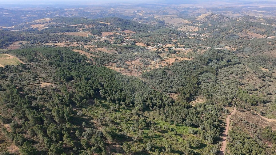 Terreno para Venda em Santa Maria de Marvão Foto 11