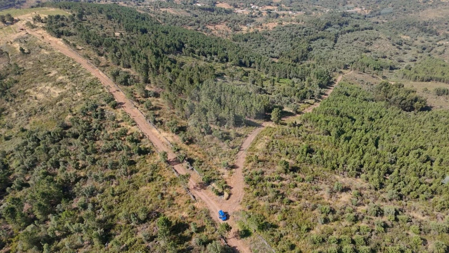 Terreno para Venda em Santa Maria de Marvão Foto 5