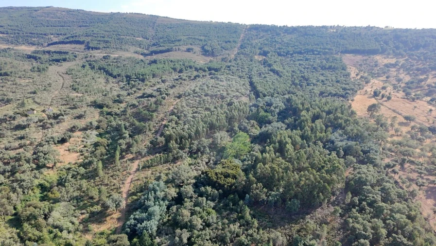Terreno para Venda em Santa Maria de Marvão Foto 24