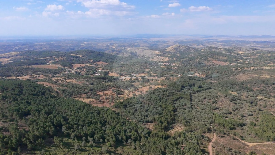 Terreno para Venda em Santa Maria de Marvão Foto 15