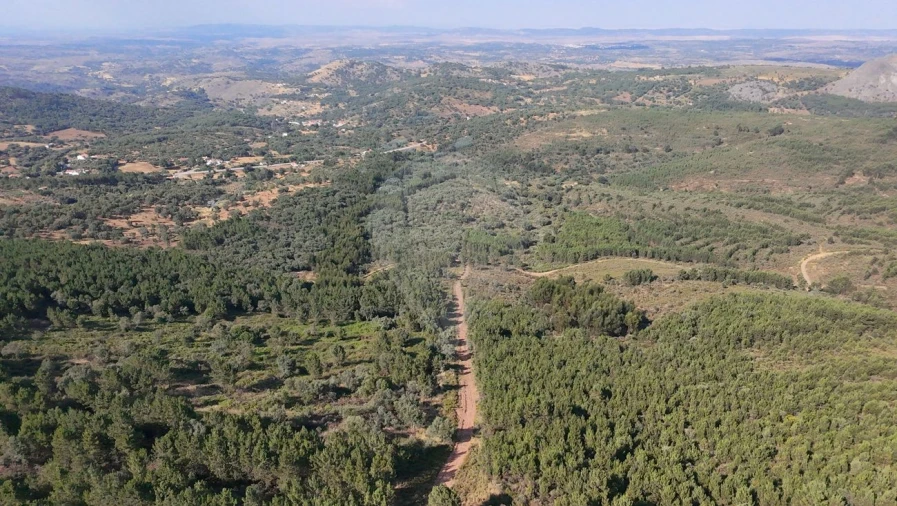 Terreno para Venda em Santa Maria de Marvão Foto 2