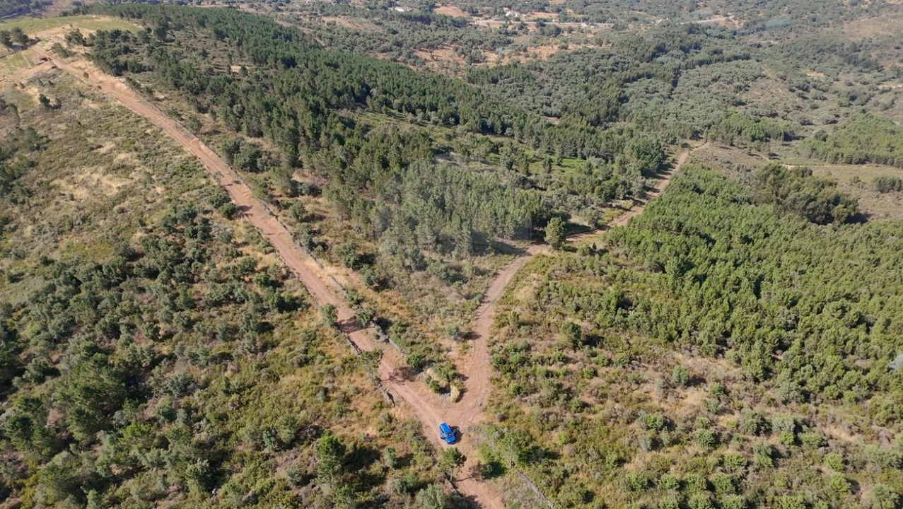 Terreno para Venda em Santa Maria de Marvão Foto 5