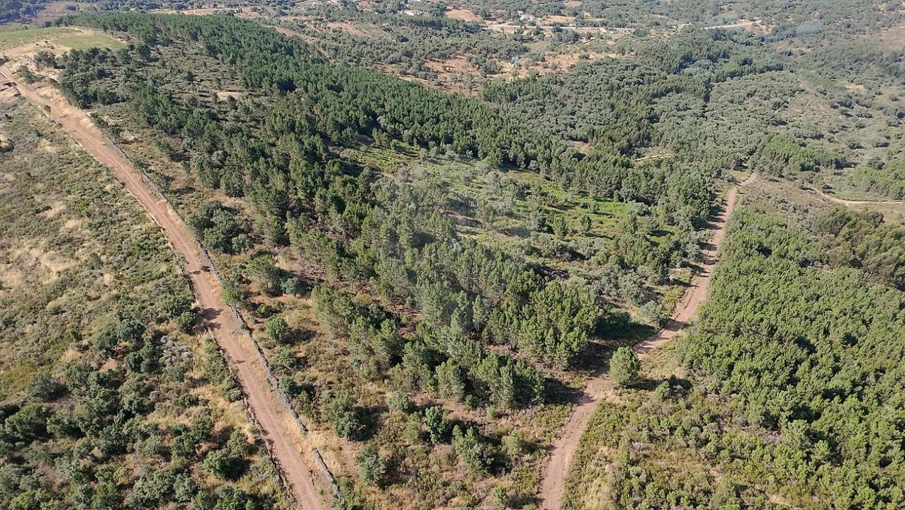 Terreno para Venda em Santa Maria de Marvão Foto 3