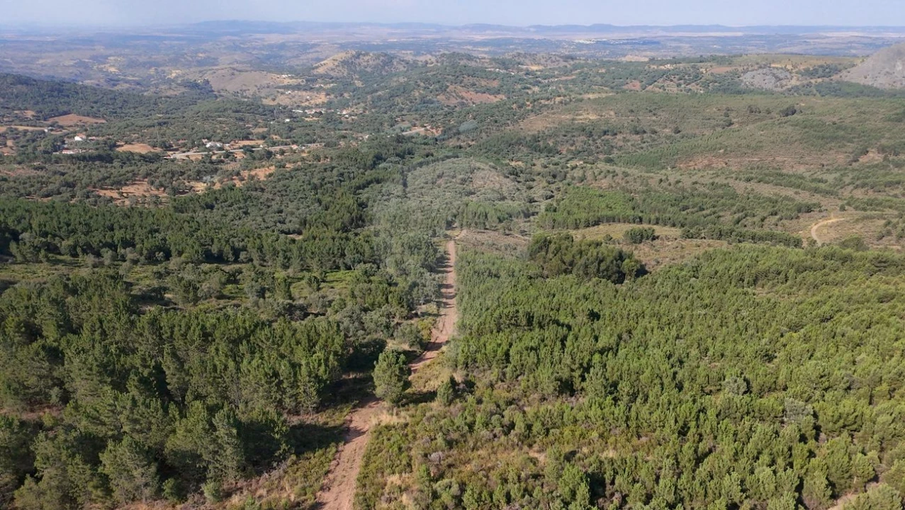 Terreno para Venda em Santa Maria de Marvão Foto 1