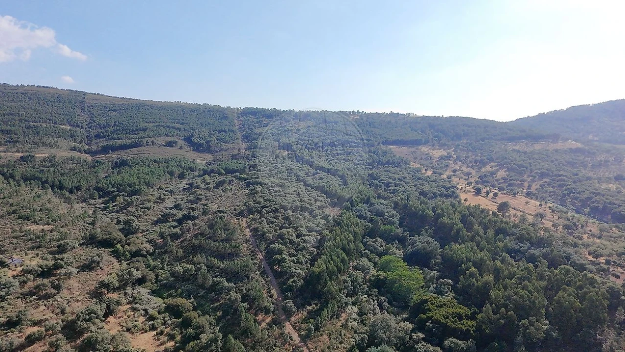 Terreno para Venda em Santa Maria de Marvão Foto 29