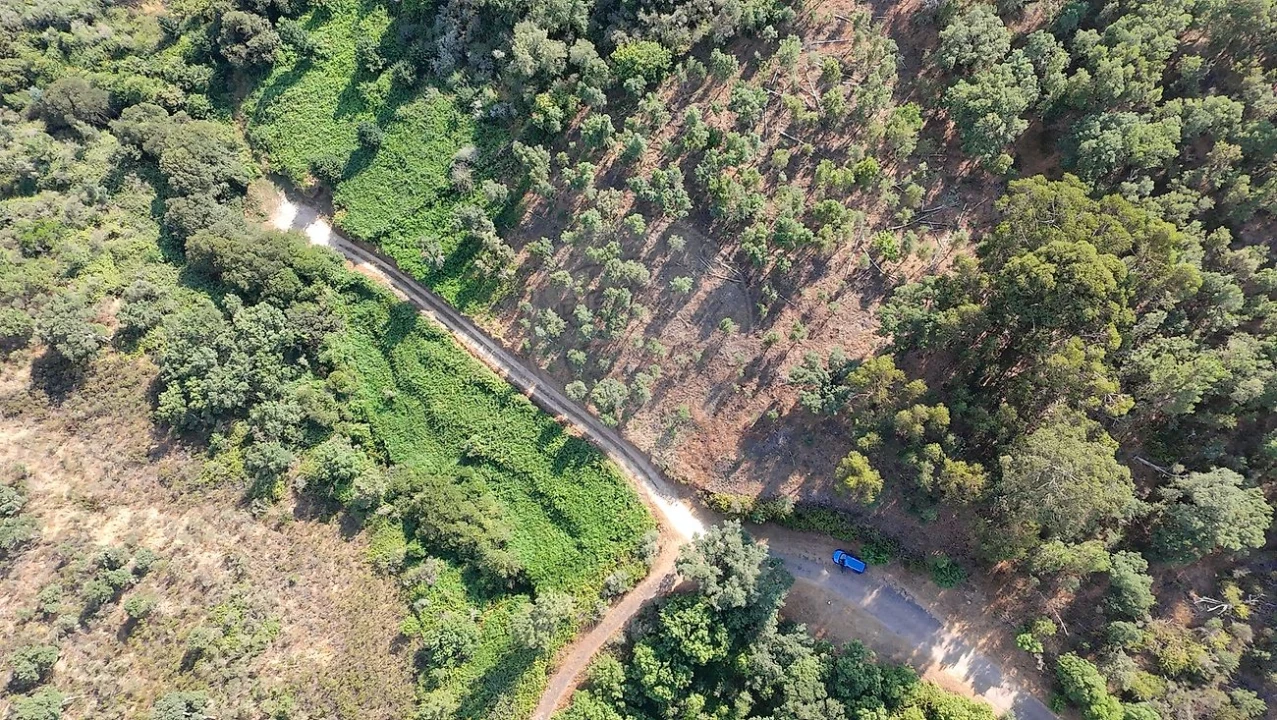 Terreno para Venda em Santa Maria de Marvão Foto 23