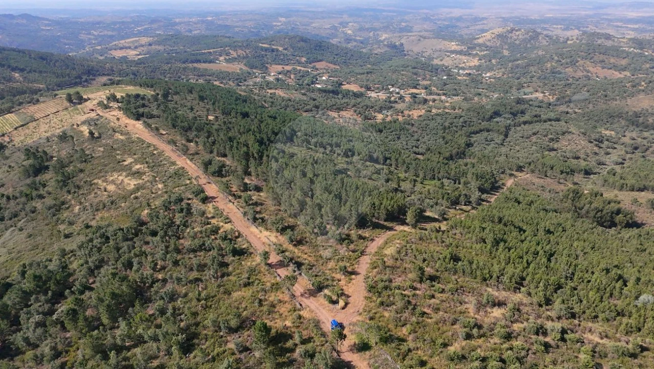Terreno para Venda em Santa Maria de Marvão Foto 7